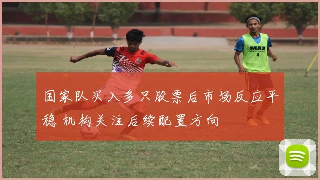 国家队买入多只股票后市场反应平稳 机构关注后续配置方向